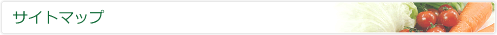 サイトマップ
